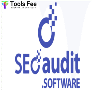 SEO Audit Tool